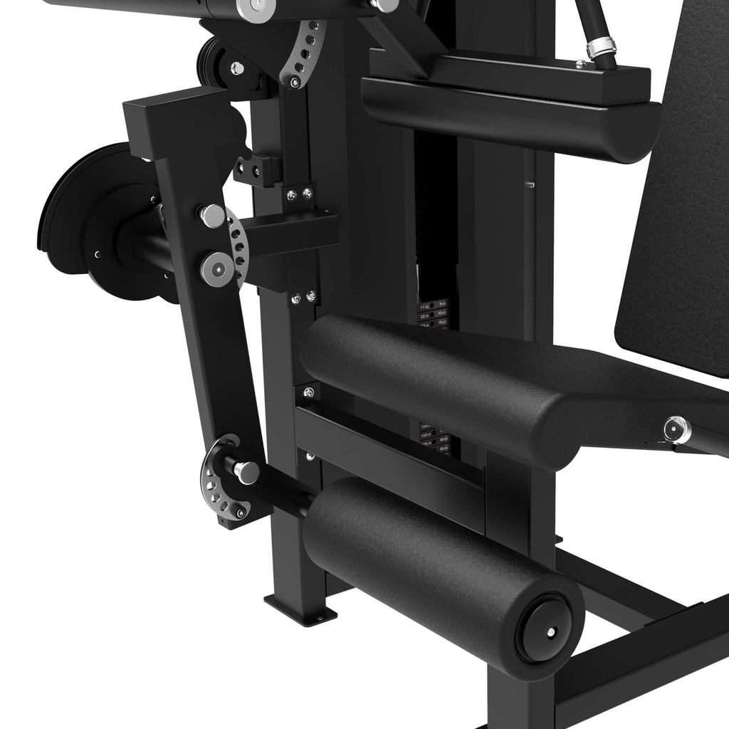 Platinum Dual Leg Curl/Extension Selectorized V-series