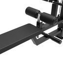 Platinum Dual Lat Pulldown/Low row Selectorized V-series