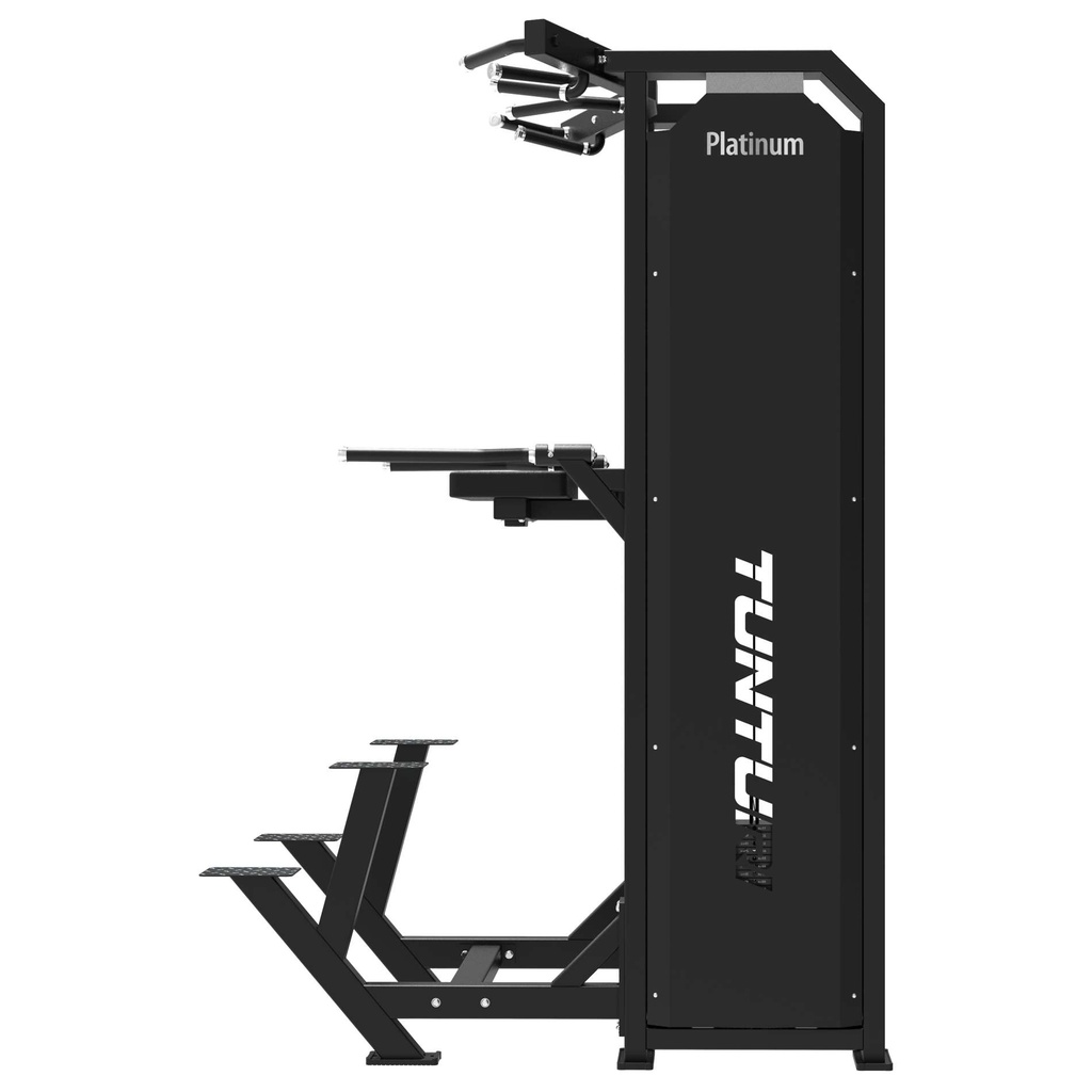 Platinum Dual Assisted Chin Up/Dip Selectorized V-series