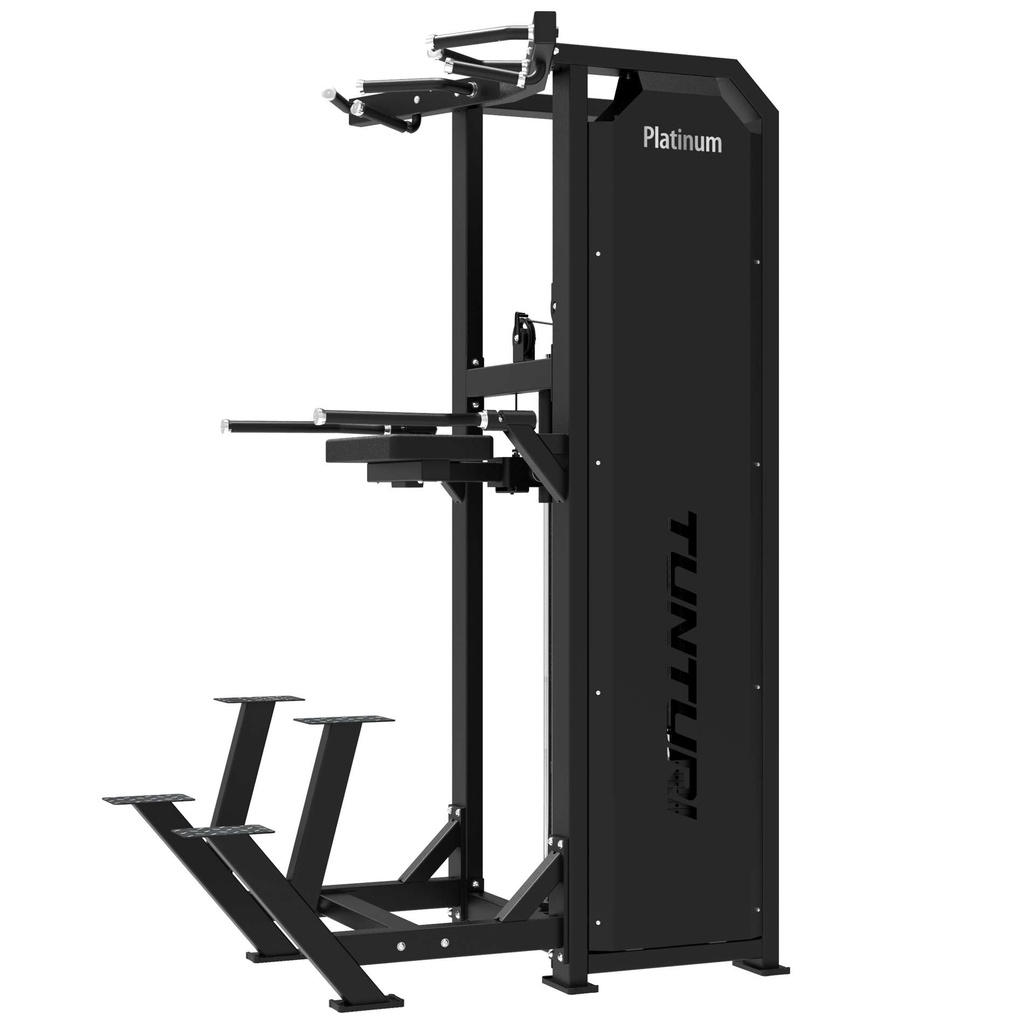 Platinum Dual Assisted Chin Up/Dip Selectorized V-series