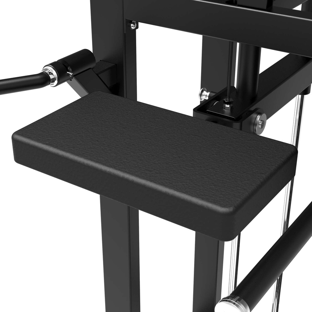 Platinum Dual Assisted Chin Up/Dip Selectorized V-series