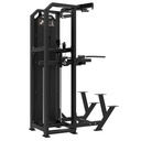 Platinum Dual Assisted Chin Up/Dip Selectorized V-series