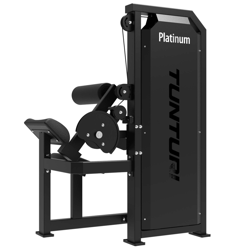 Platinum Dual Back/Abdominal Combo Selectorized V-series