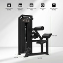 Platinum Dual Back/Abdominal Combo Selectorized V-series