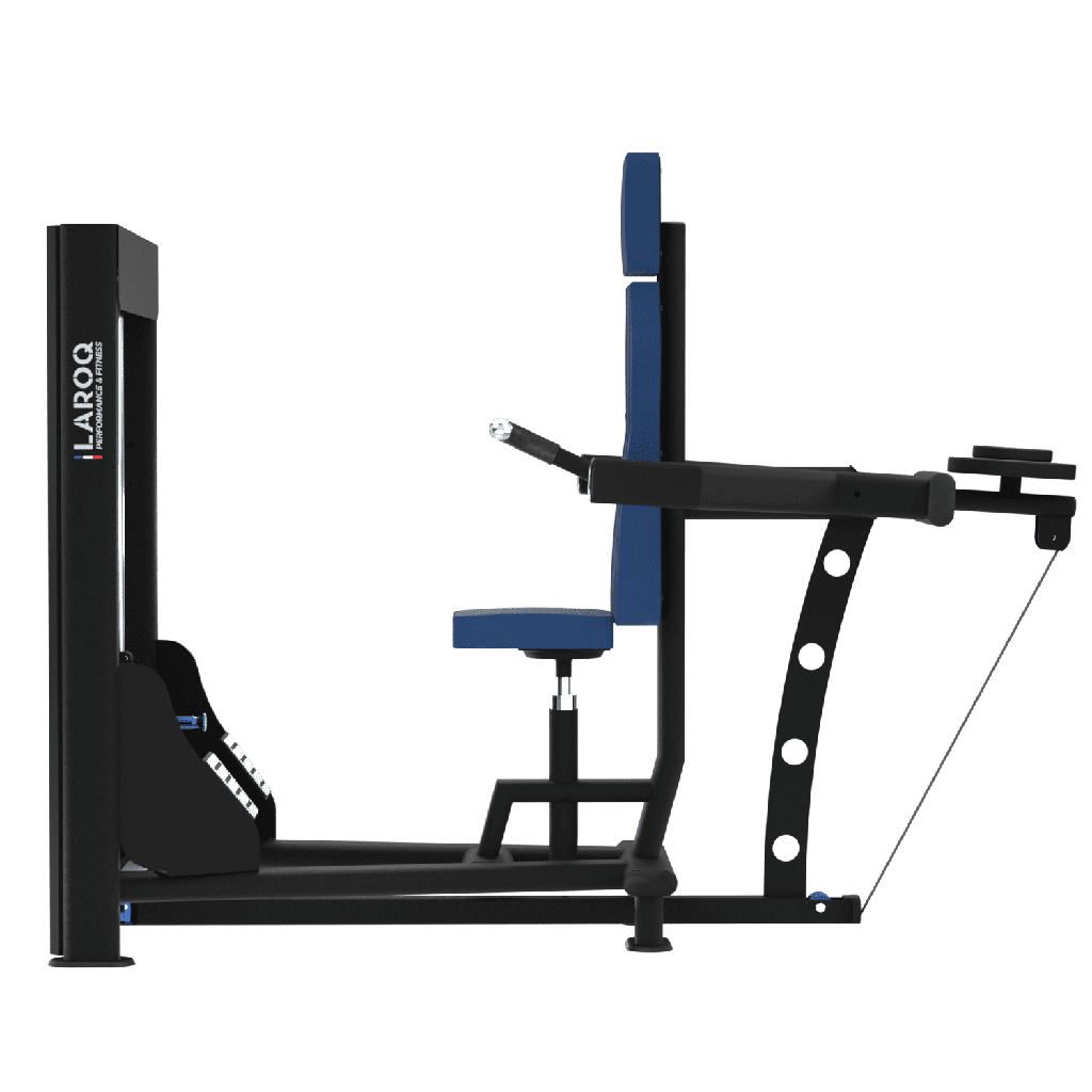 Dips assis machine 80kg Laroq Evolution