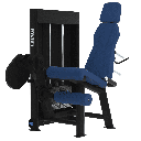 Leg extension assis 80kg Laroq Evolution TE14