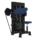 Pupitre biceps curl 60kg Laroq Evolution TE24