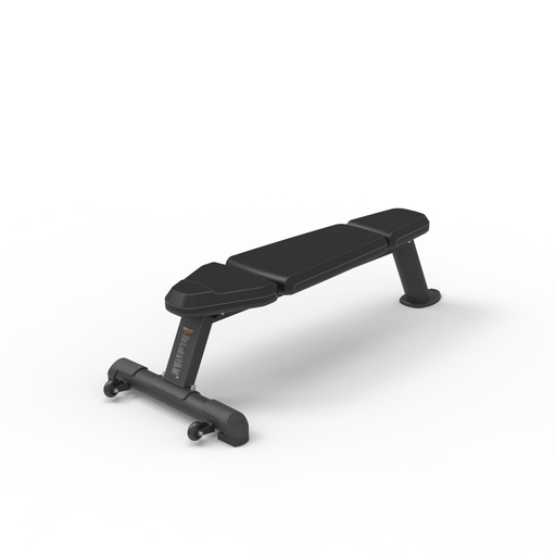 [ERARBM11001] Banc de musculation droit Spirit